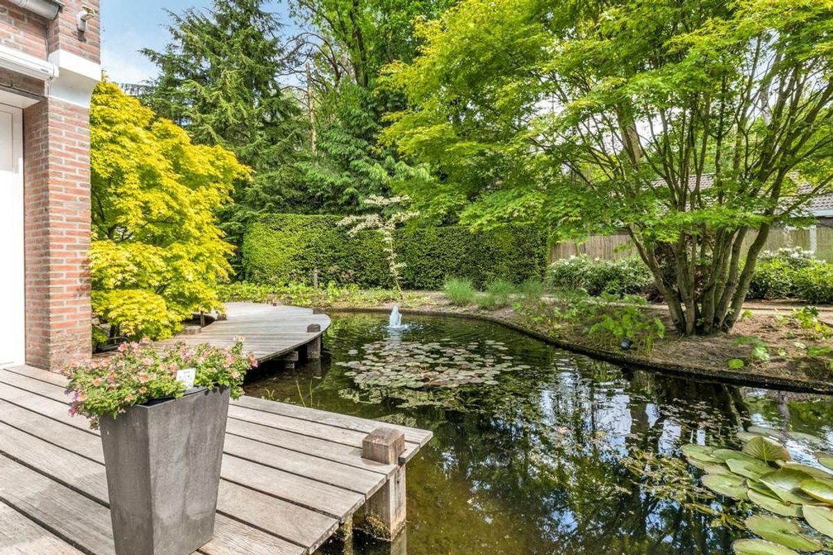 Haagdoorn 11 Photo Blur 23