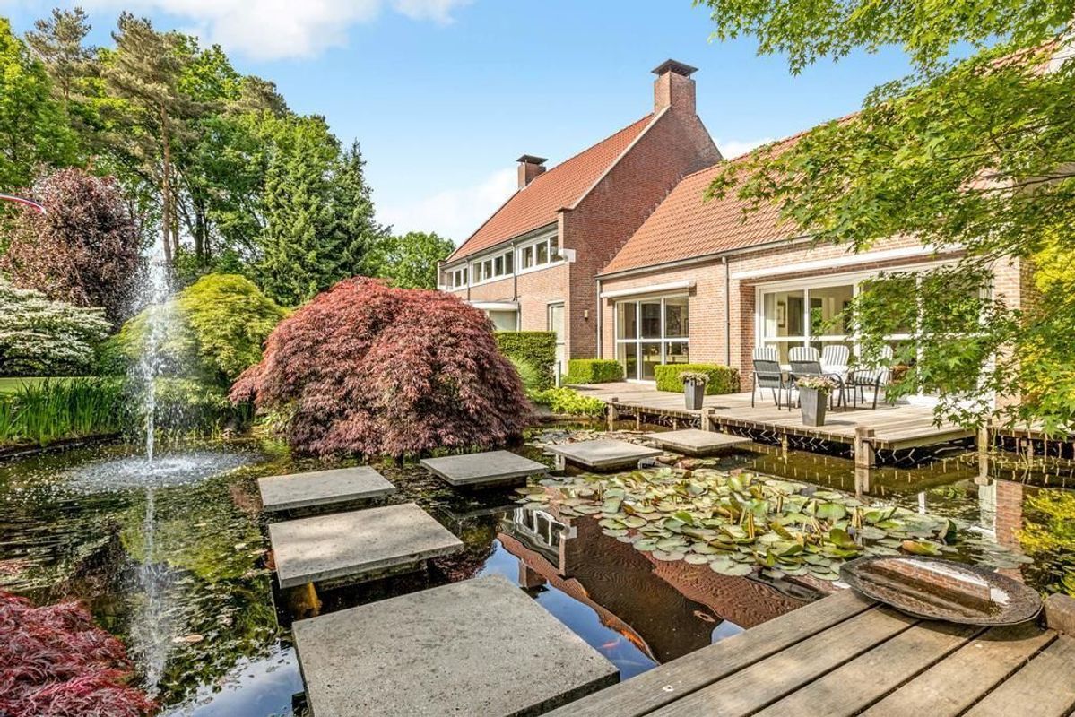 Haagdoorn 11 Photo Blur 0