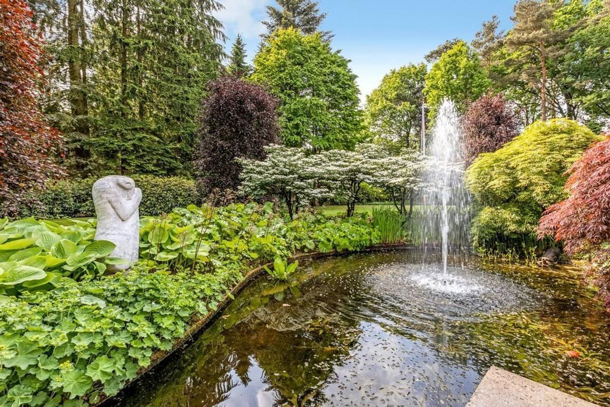 Haagdoorn 11 Photo Blur 24