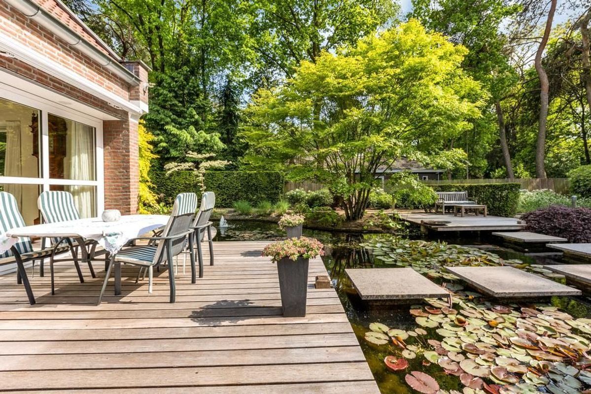 Haagdoorn 11 Photo Blur 22