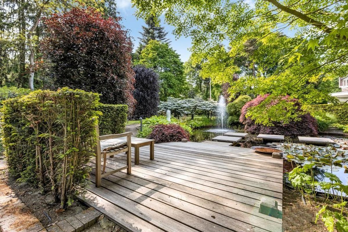 Haagdoorn 11 Photo Blur 26