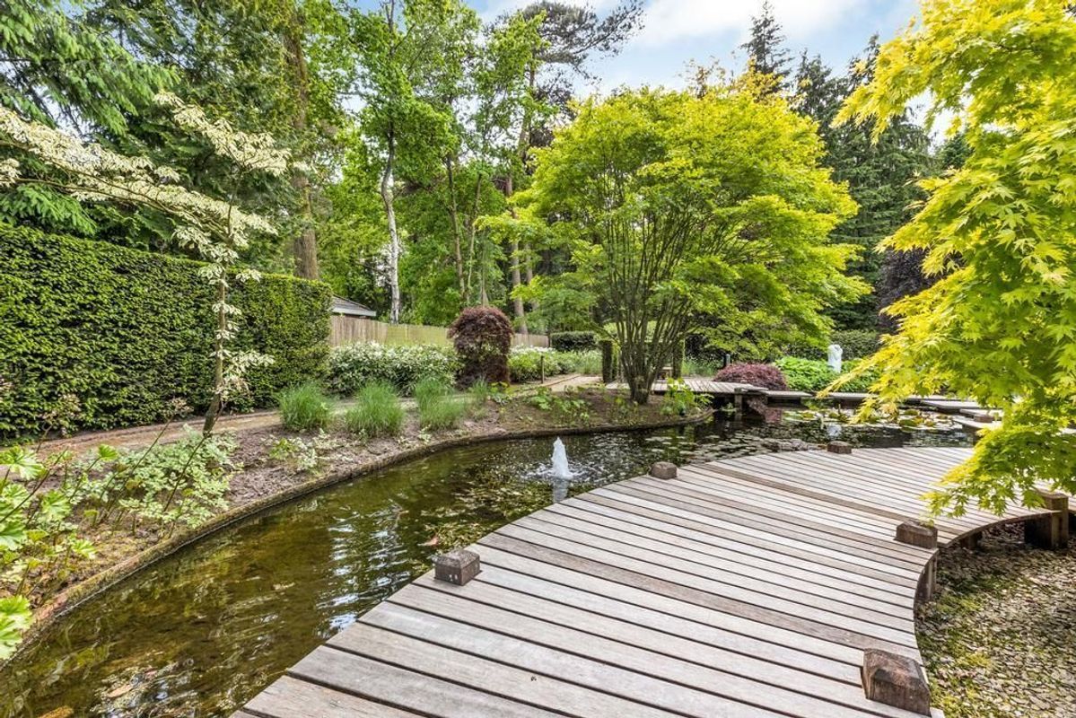 Haagdoorn 11 Photo Blur 27