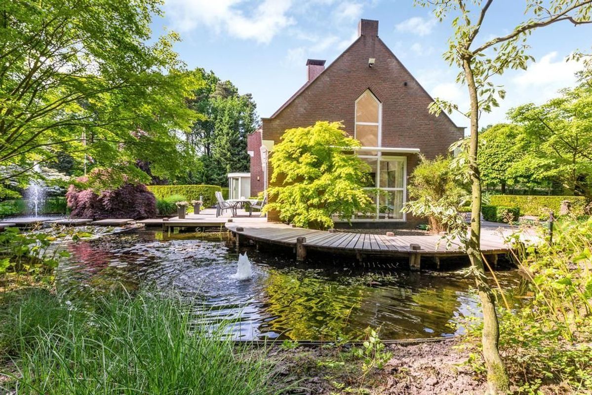 Haagdoorn 11 Photo Blur 25