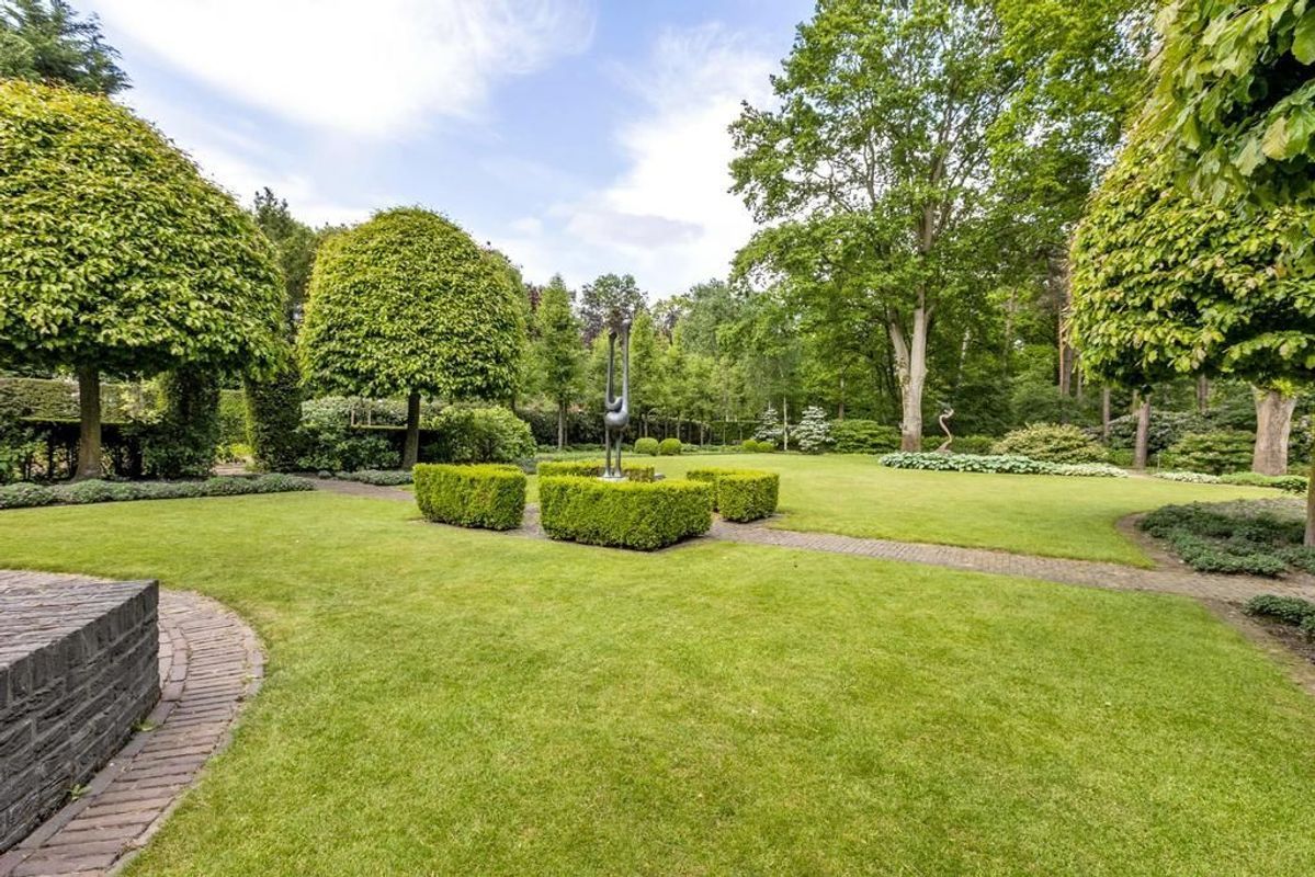 Haagdoorn 11 Photo Blur 29