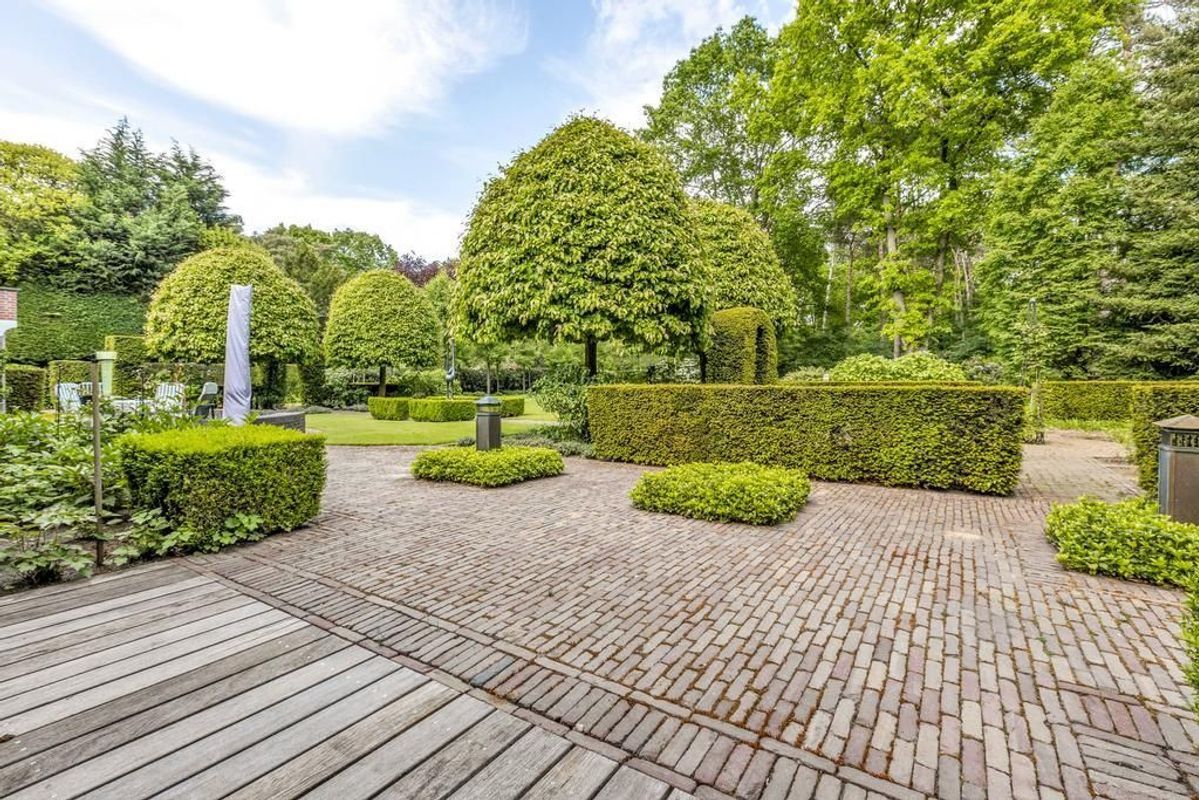 Haagdoorn 11 Photo Blur 28