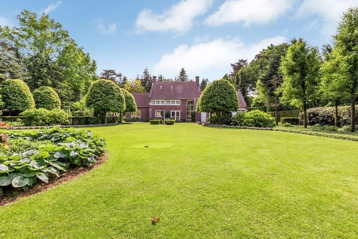 Haagdoorn 11 Photo Blur 30