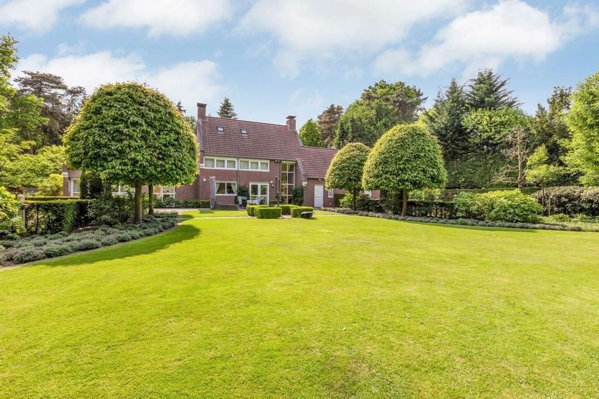 Haagdoorn 11 Photo Blur 31