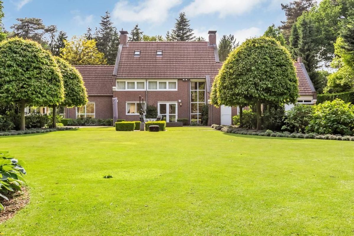 Haagdoorn 11 Photo Blur 49