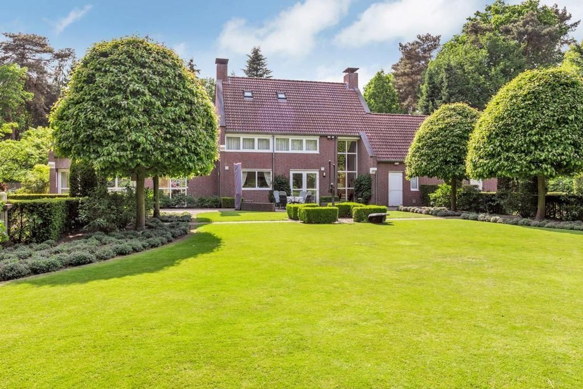 Haagdoorn 11 Photo Blur 32