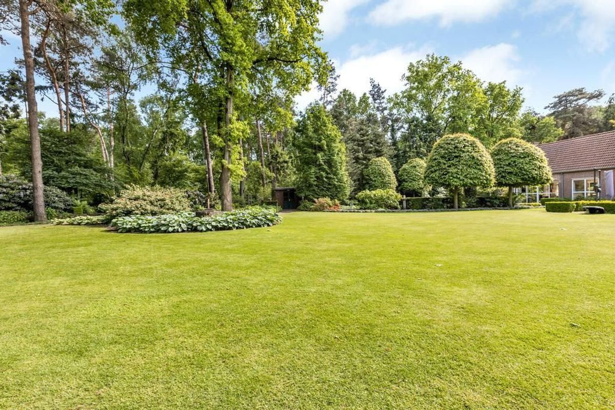 Haagdoorn 11 Photo Blur 34