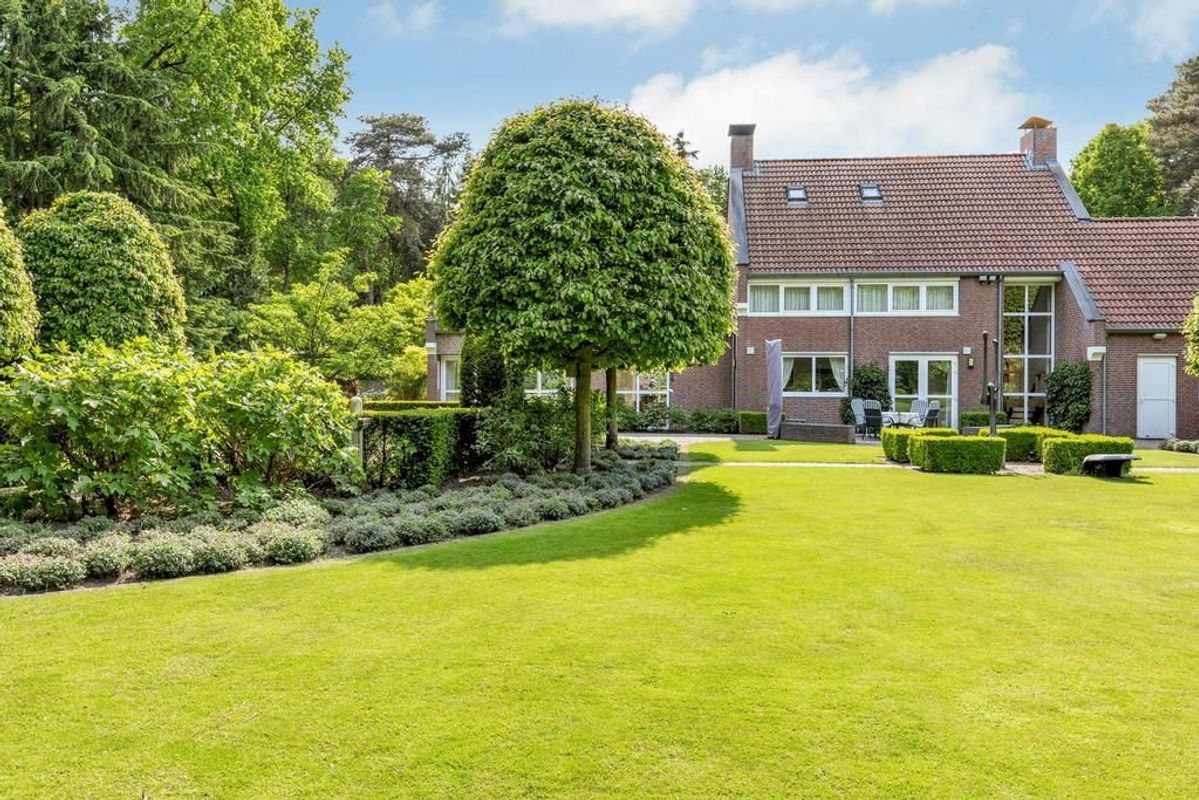 Haagdoorn 11 Photo Blur 33