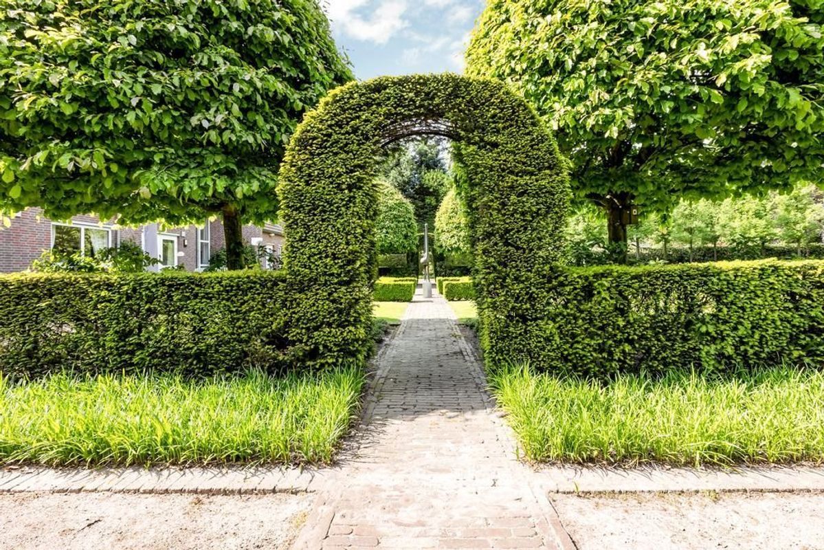 Haagdoorn 11 Photo Blur 36