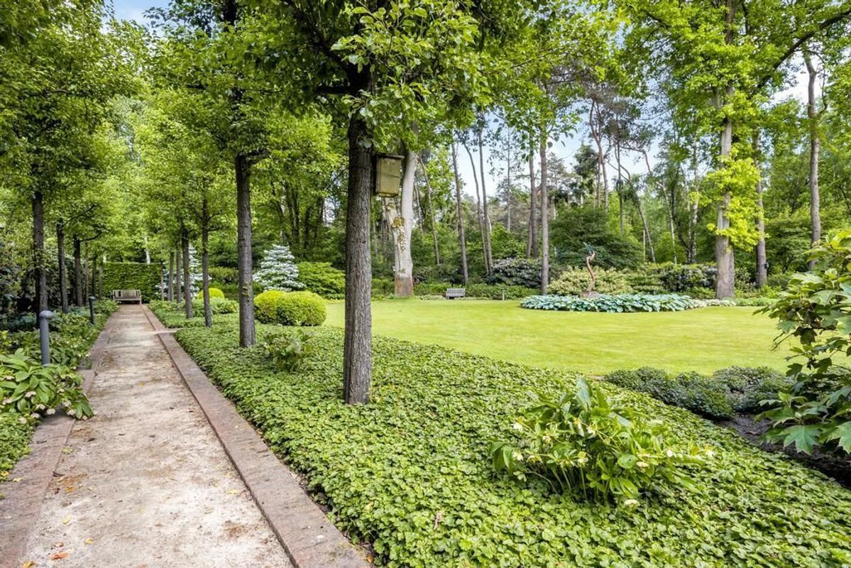 Haagdoorn 11 Photo Blur 37