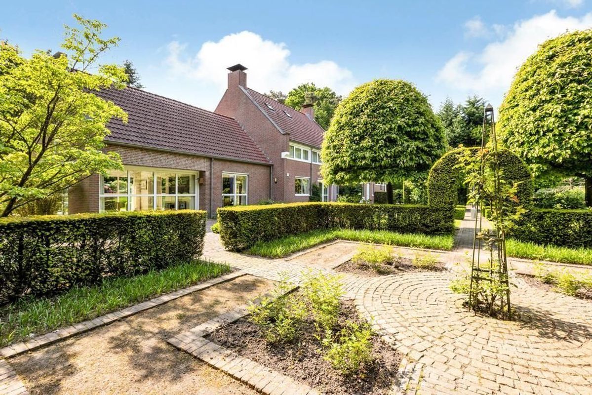 Haagdoorn 11 Photo Blur 35