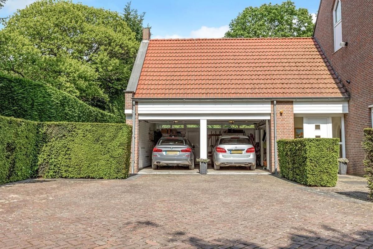 Haagdoorn 11 Photo Blur 40