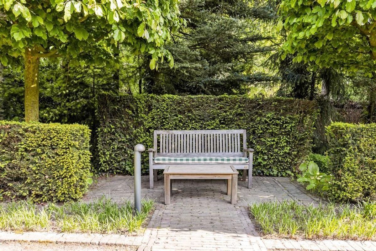 Haagdoorn 11 Photo Blur 38