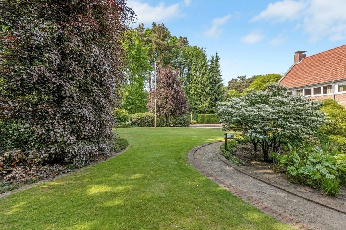 Haagdoorn 11 Photo Blur 42