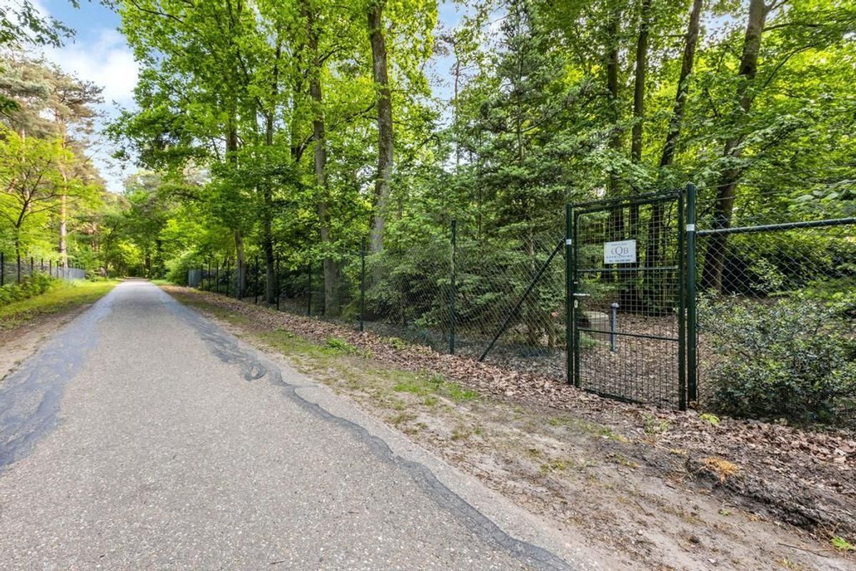 Haagdoorn 11 Photo Blur 47