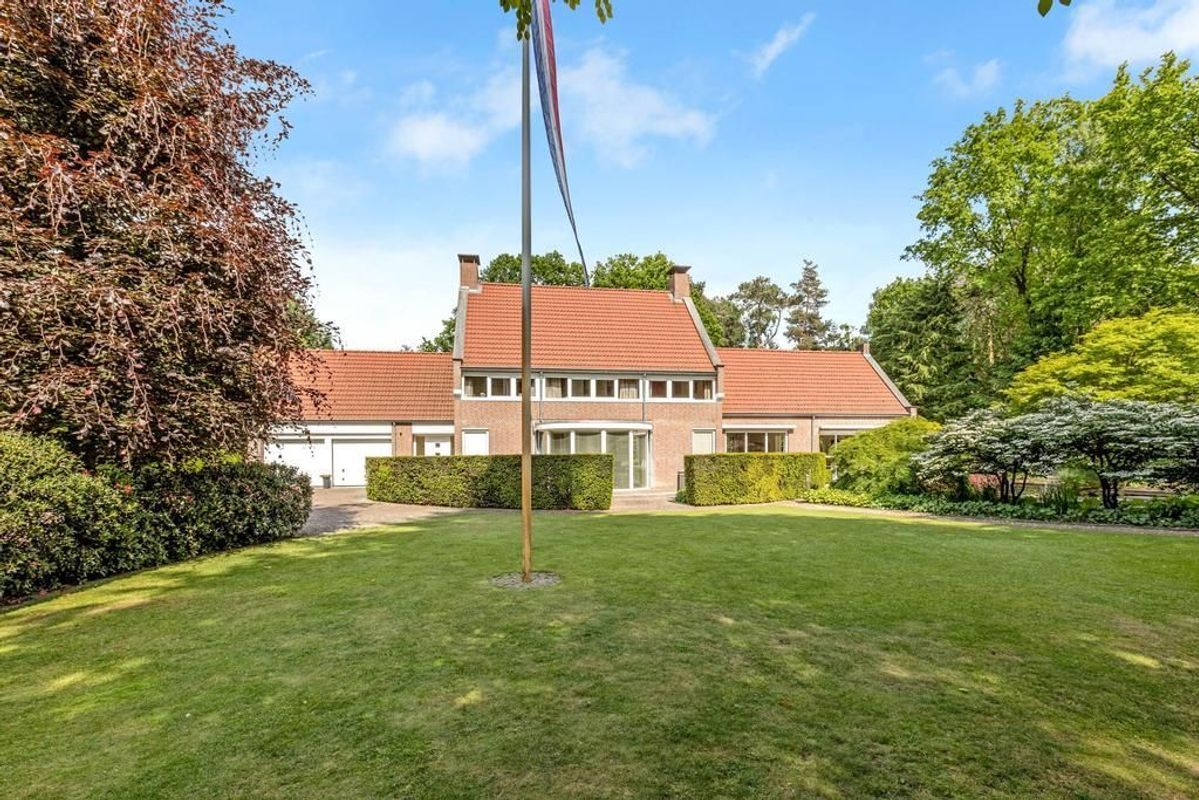 Haagdoorn 11 Photo Blur 41