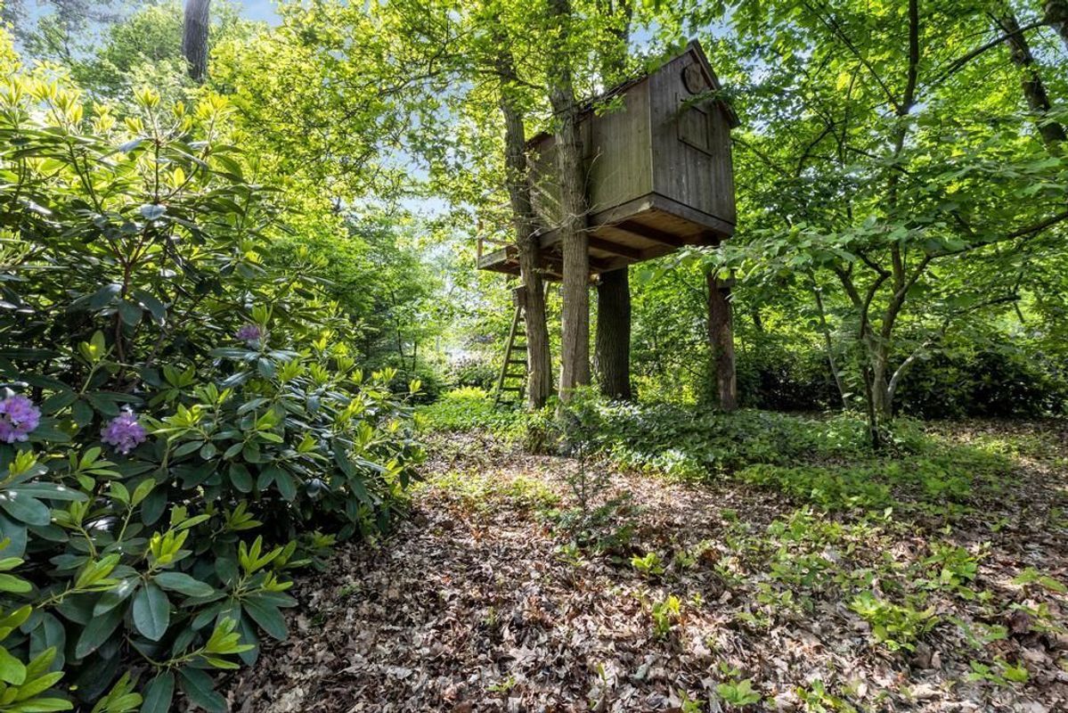 Haagdoorn 11 Photo Blur 43