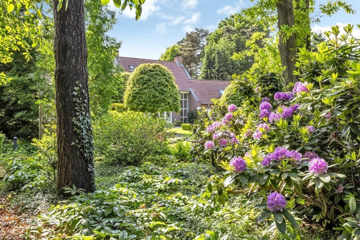 Haagdoorn 11 Photo Blur 44