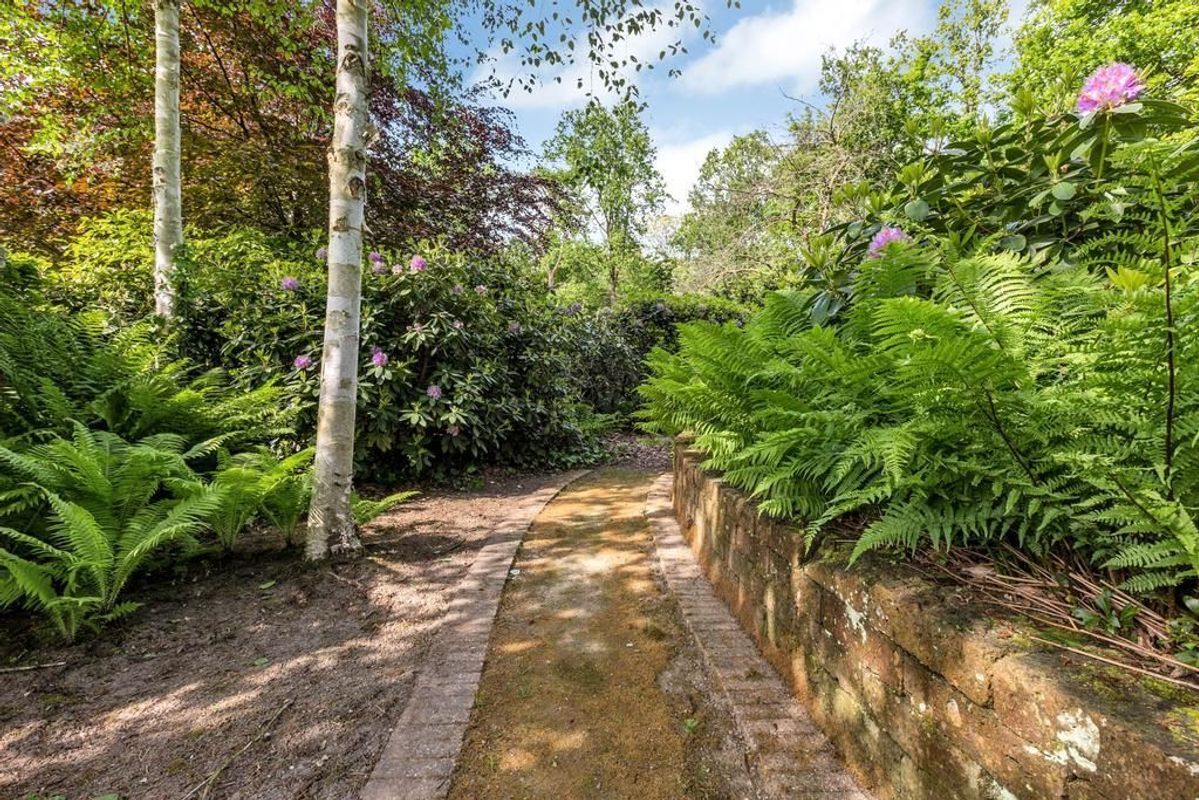 Haagdoorn 11 Photo Blur 45