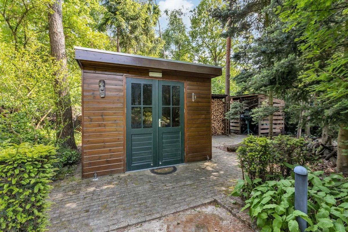 Haagdoorn 11 Photo Blur 48