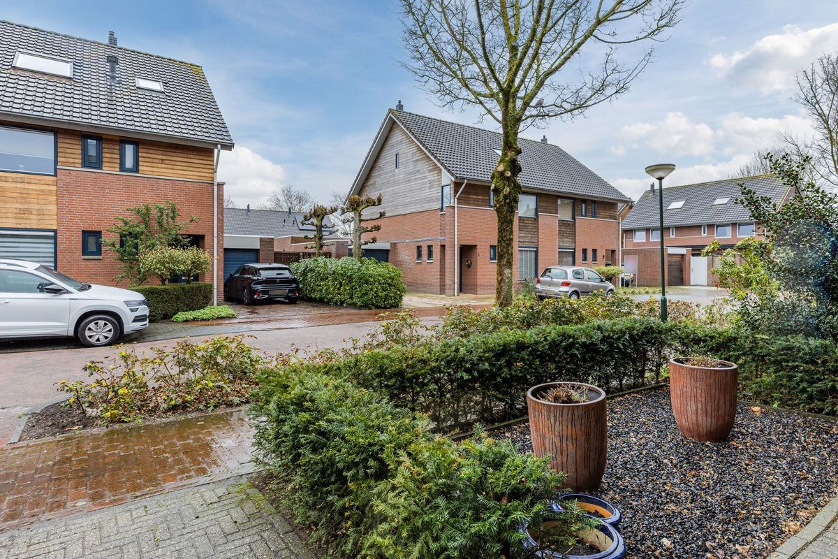 Bodepad 4 Photo Blur 23