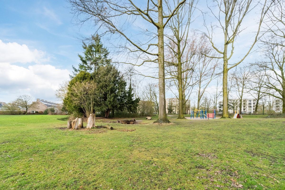 Drossaardstraat 61 Photo Blur 34