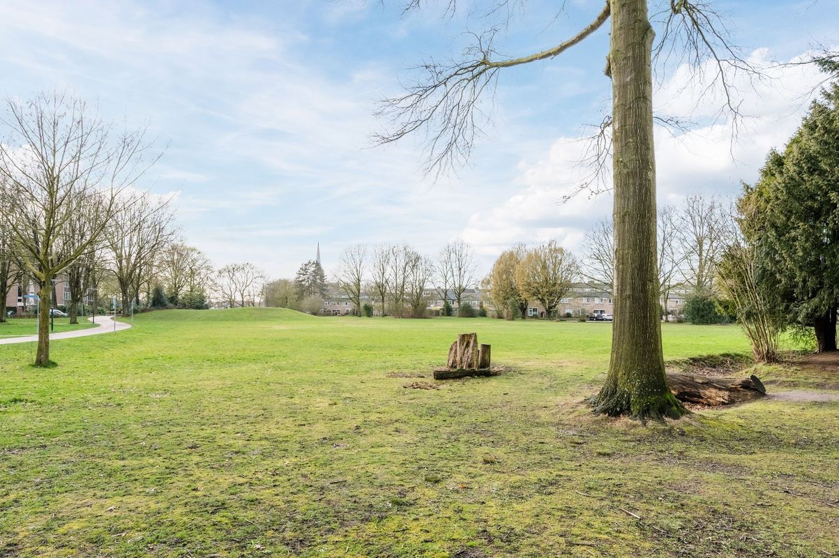 Drossaardstraat 61 Photo Blur 35