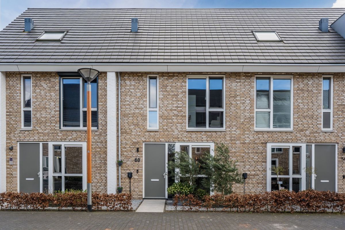 Sleutelbloem 60 Photo Blur 0