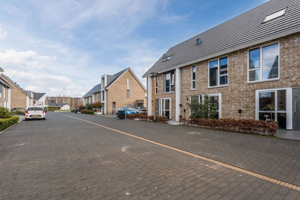 Sleutelbloem 60 Photo Blur 4