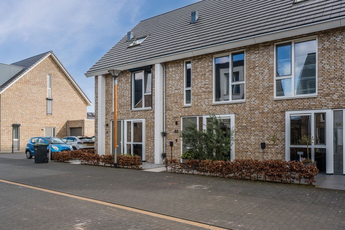 Sleutelbloem 60 Photo Blur 5