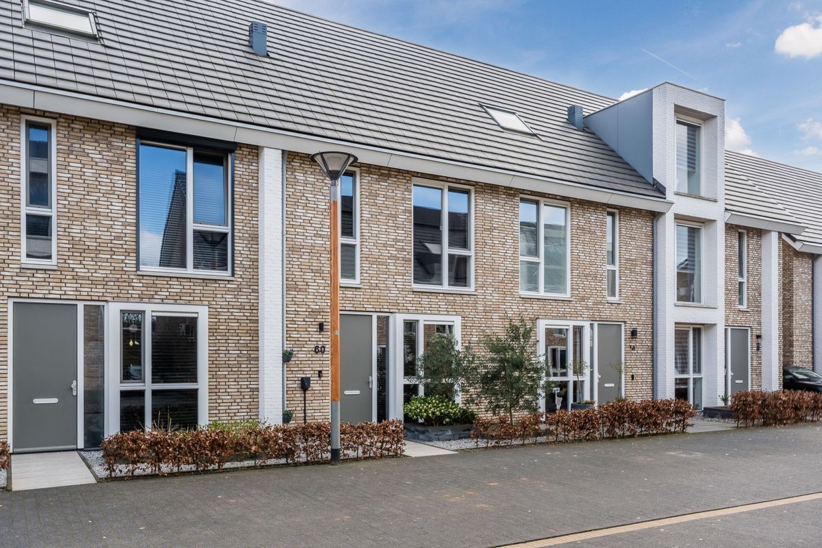 Sleutelbloem 60 Photo Blur 6