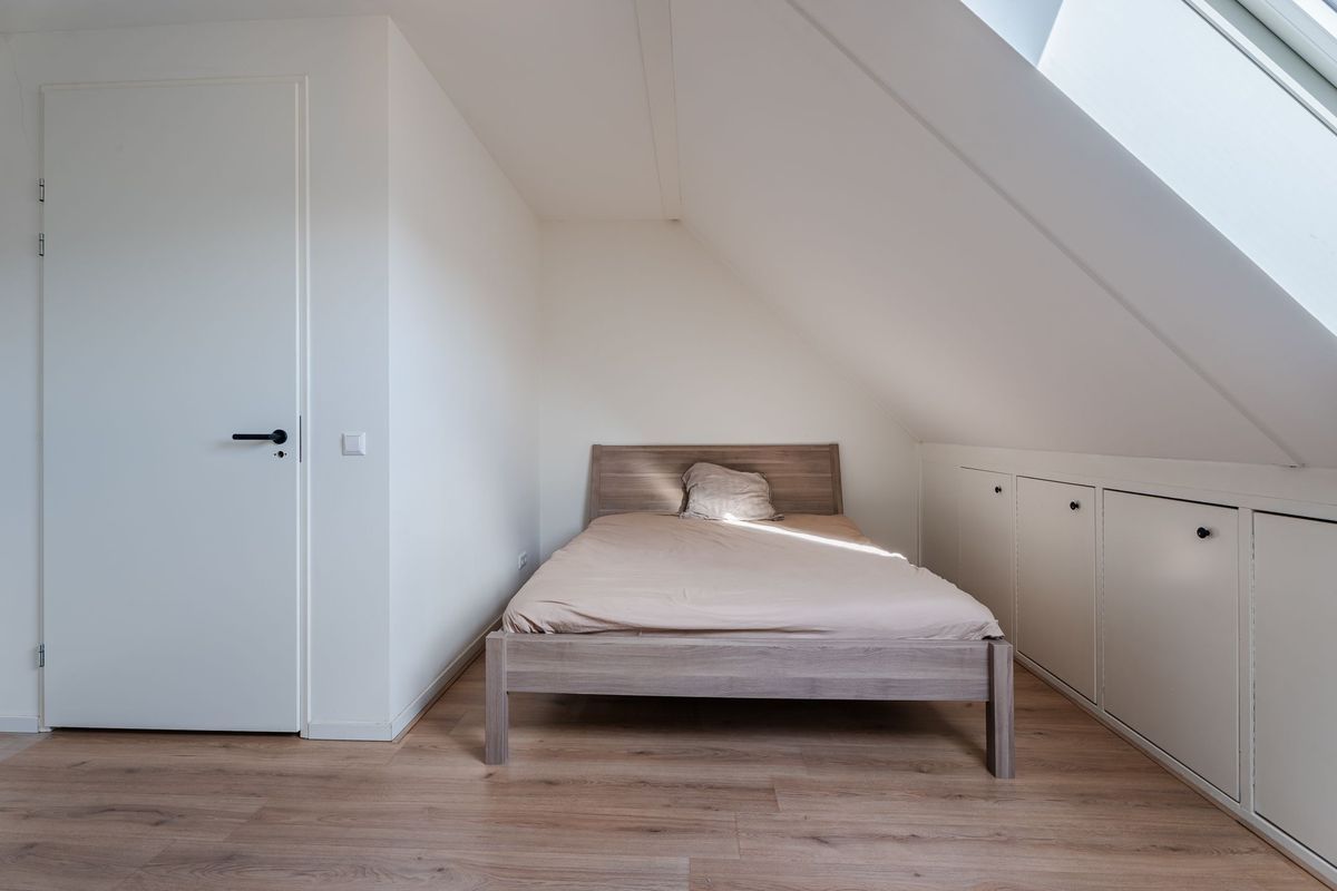 Sleutelbloem 60 Photo Blur 28