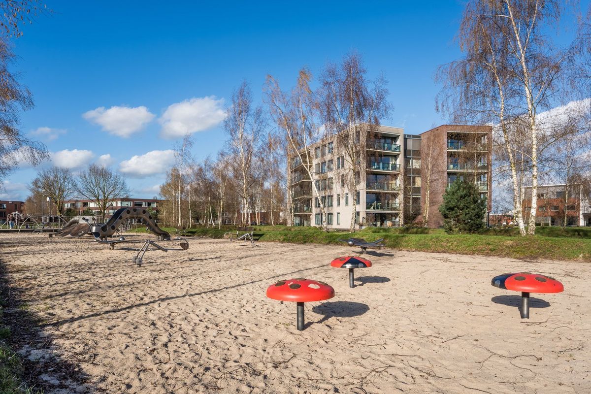 Sleutelbloem 60 Photo Blur 39