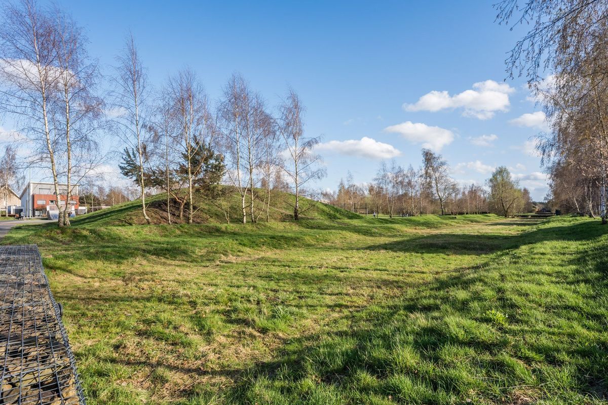 Sleutelbloem 60 Photo Blur 40