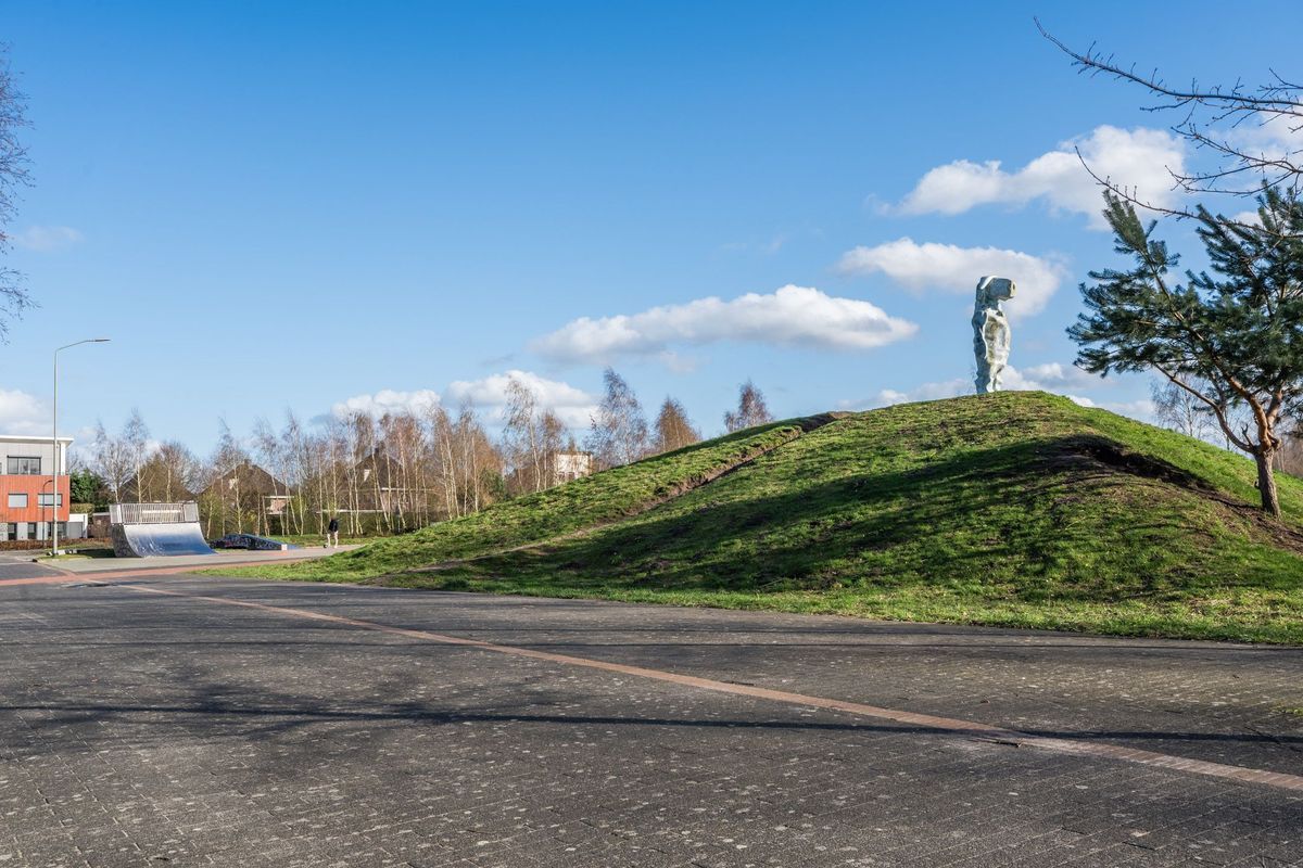 Sleutelbloem 60 Photo Blur 41