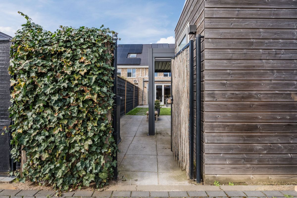 Sleutelbloem 60 Photo Blur 38