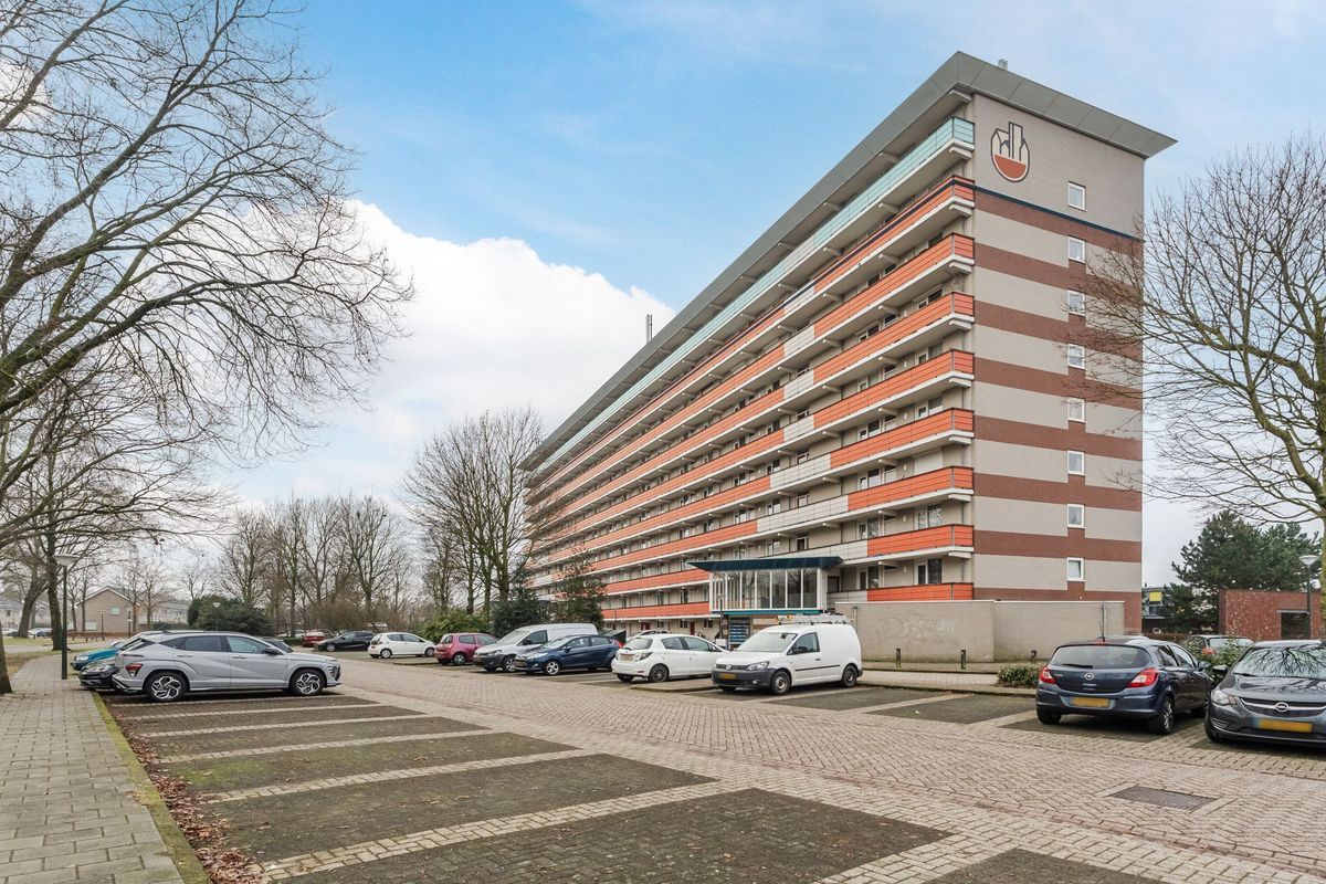 Raamveld 145 Photo Blur 4