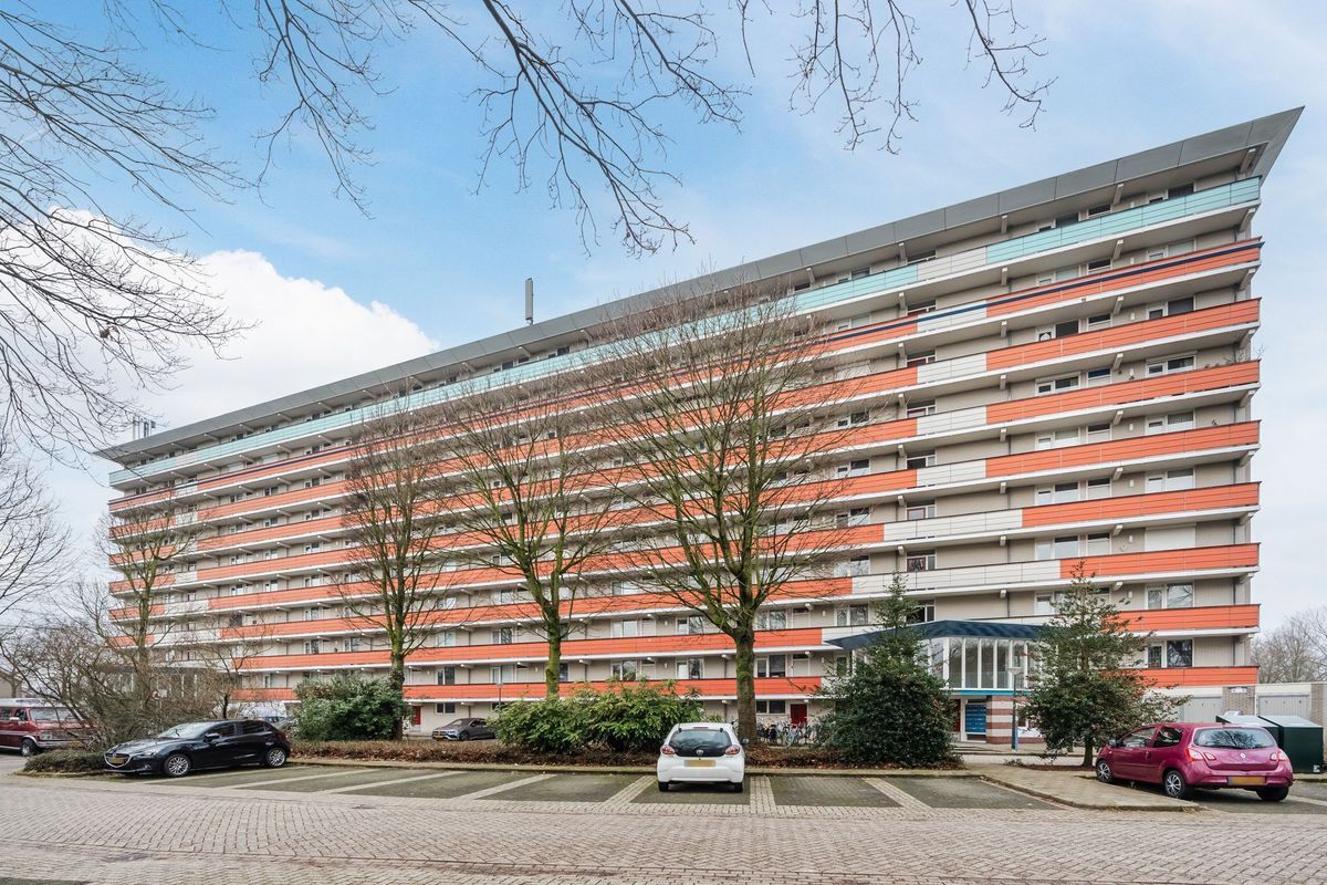 Raamveld 145 Photo Blur 5