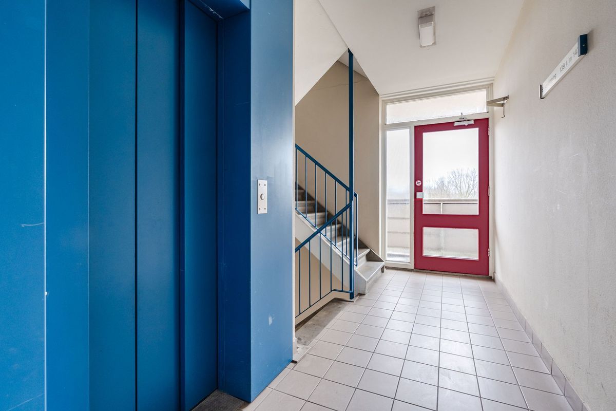 Raamveld 145 Photo Blur 8