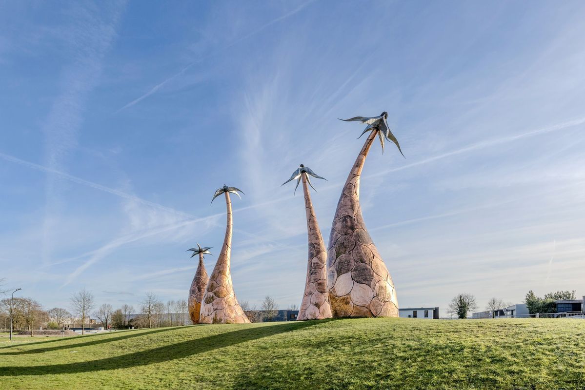 Belle van Zuylenstraat 37 Photo Blur 45