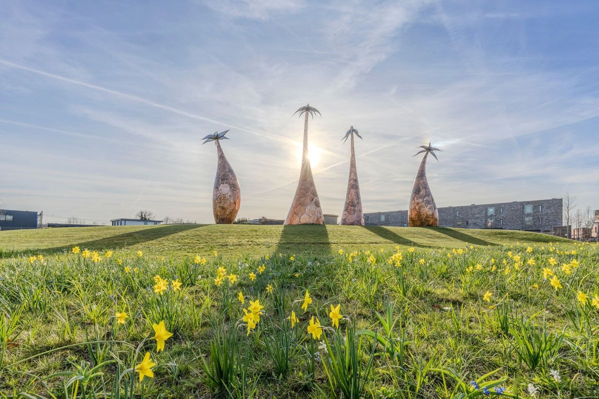 Belle van Zuylenstraat 37 Photo Blur 47