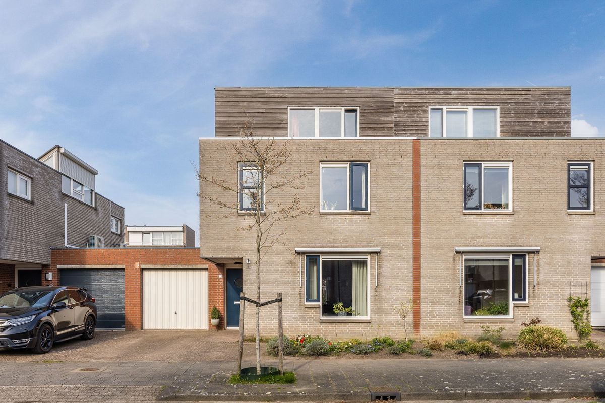 Regenwulp 13 Photo Blur 56