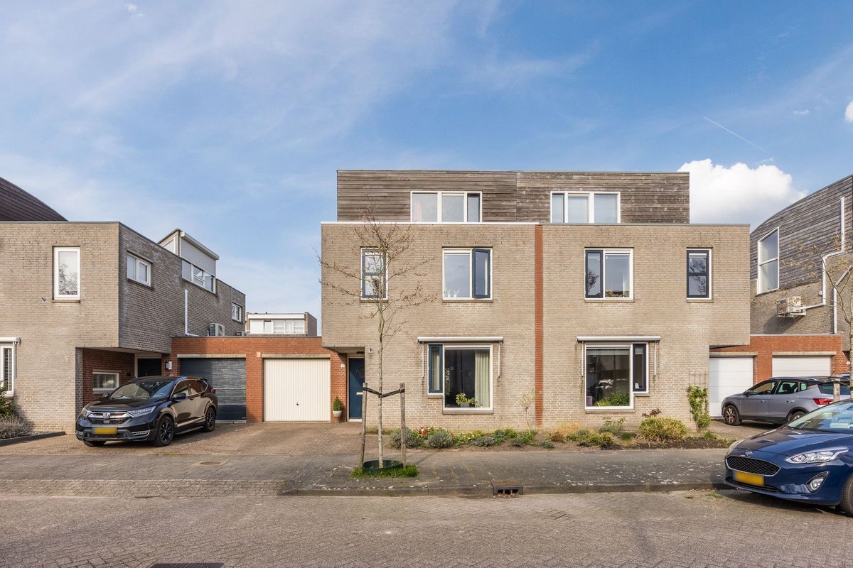 Regenwulp 13 Photo Blur 57