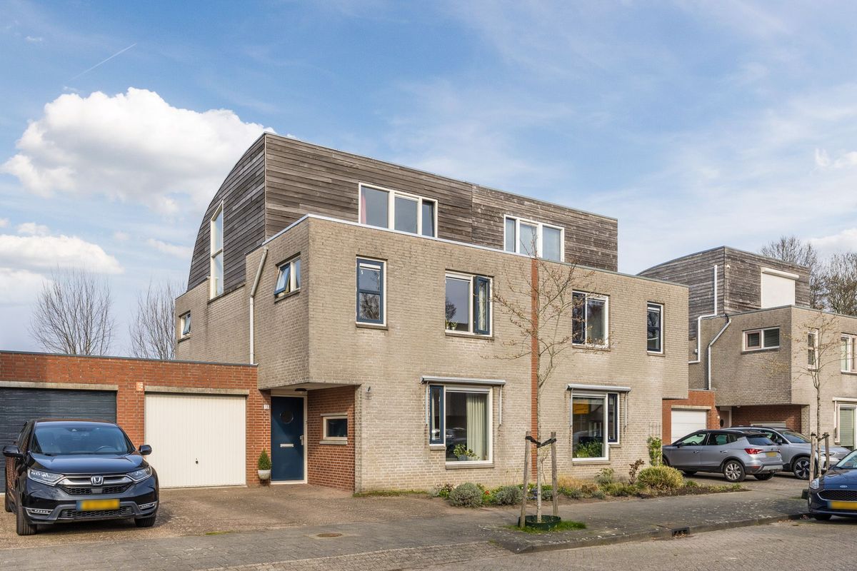 Regenwulp 13 Photo Blur 0