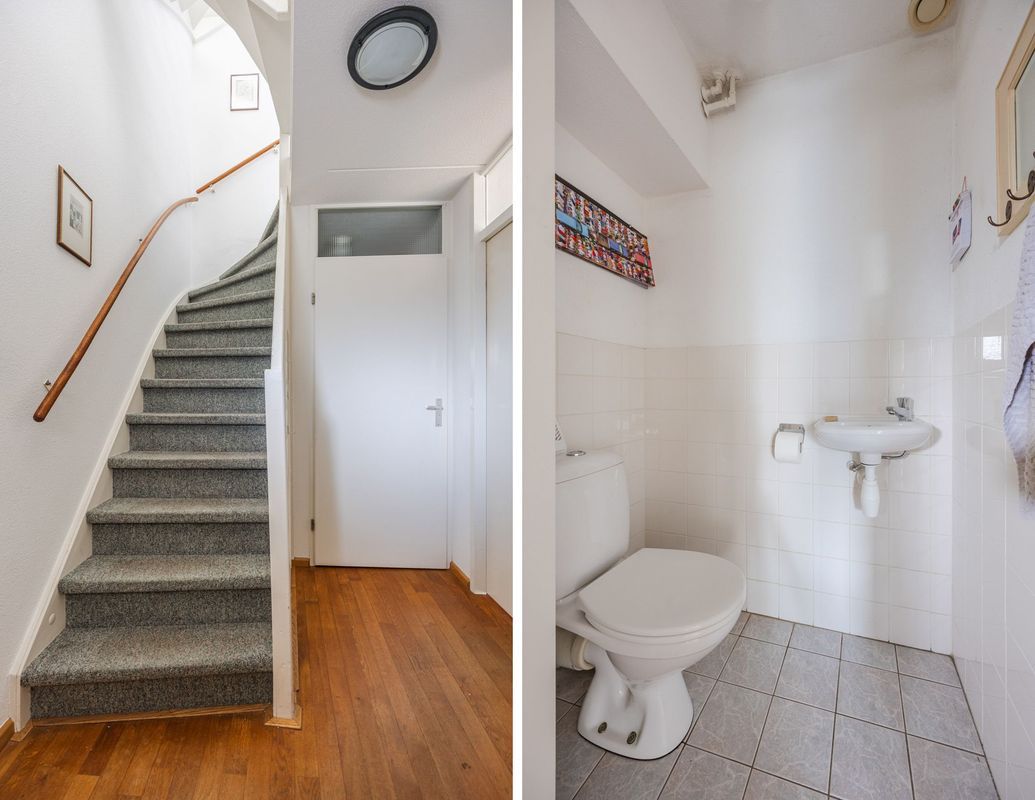 Regenwulp 13 Photo Blur 17