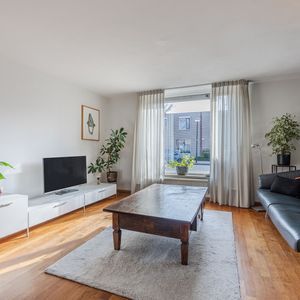 Regenwulp 13 Photo 2