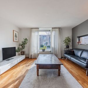 Regenwulp 13 Photo 4